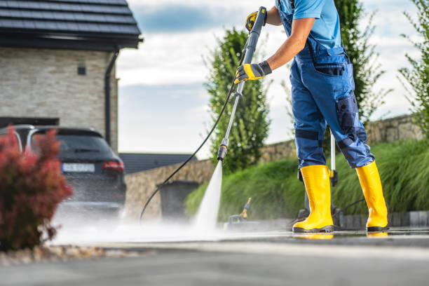 Best Solar Panel Cleaning  in Century, FL